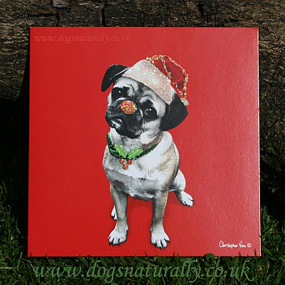 Pug Christmas Card (Luxury Flitter)